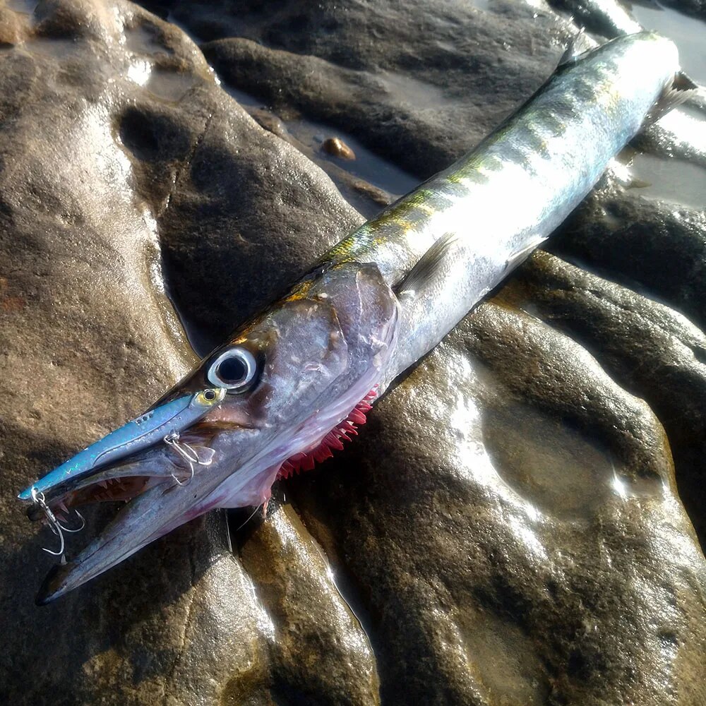 Goabatit vib isca de pesca 20g - Fishing Hook Treble avaliação e preço